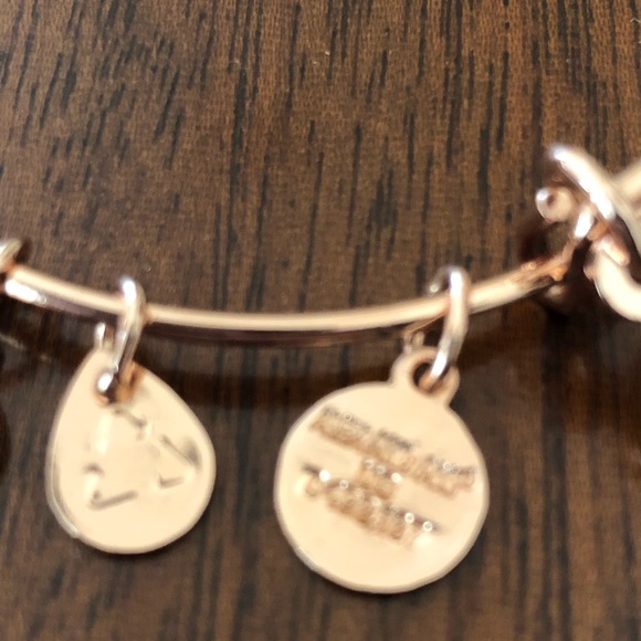 Alex and Ani Guardian Wing Charm Bracelet - Picture 9 of 12